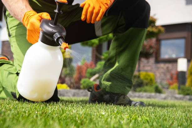 Flea Control Services in Laurel, VA