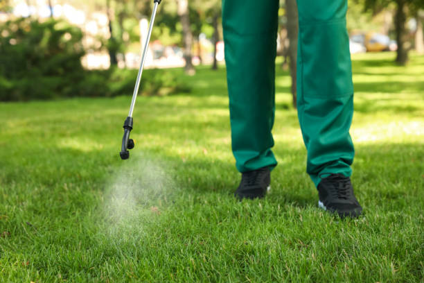 Best Ant Control Services  in Laurel, VA
