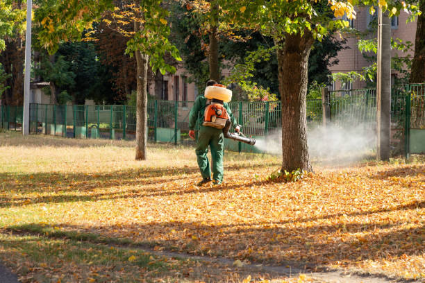 Best Pest Inspection Near Me  in Laurel, VA