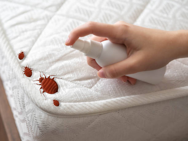 Best Cockroach Control Services  in Laurel, VA