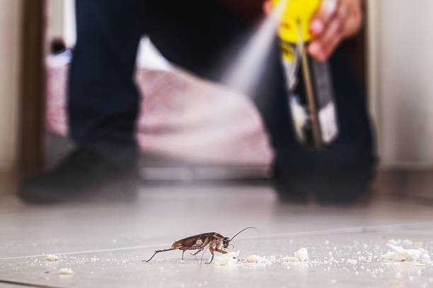 Best Pest Removal Services  in Laurel, VA