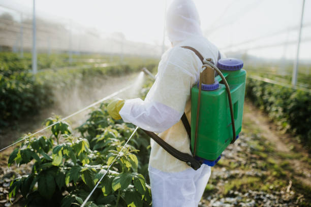 Best Wasp Removal Services  in Laurel, VA